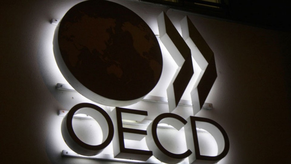 Corporate debt risks weighing on world growth: OECD